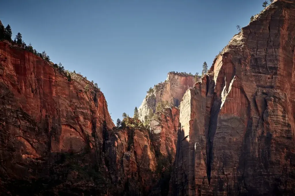 Zion White Bison Resort on site exploration trails