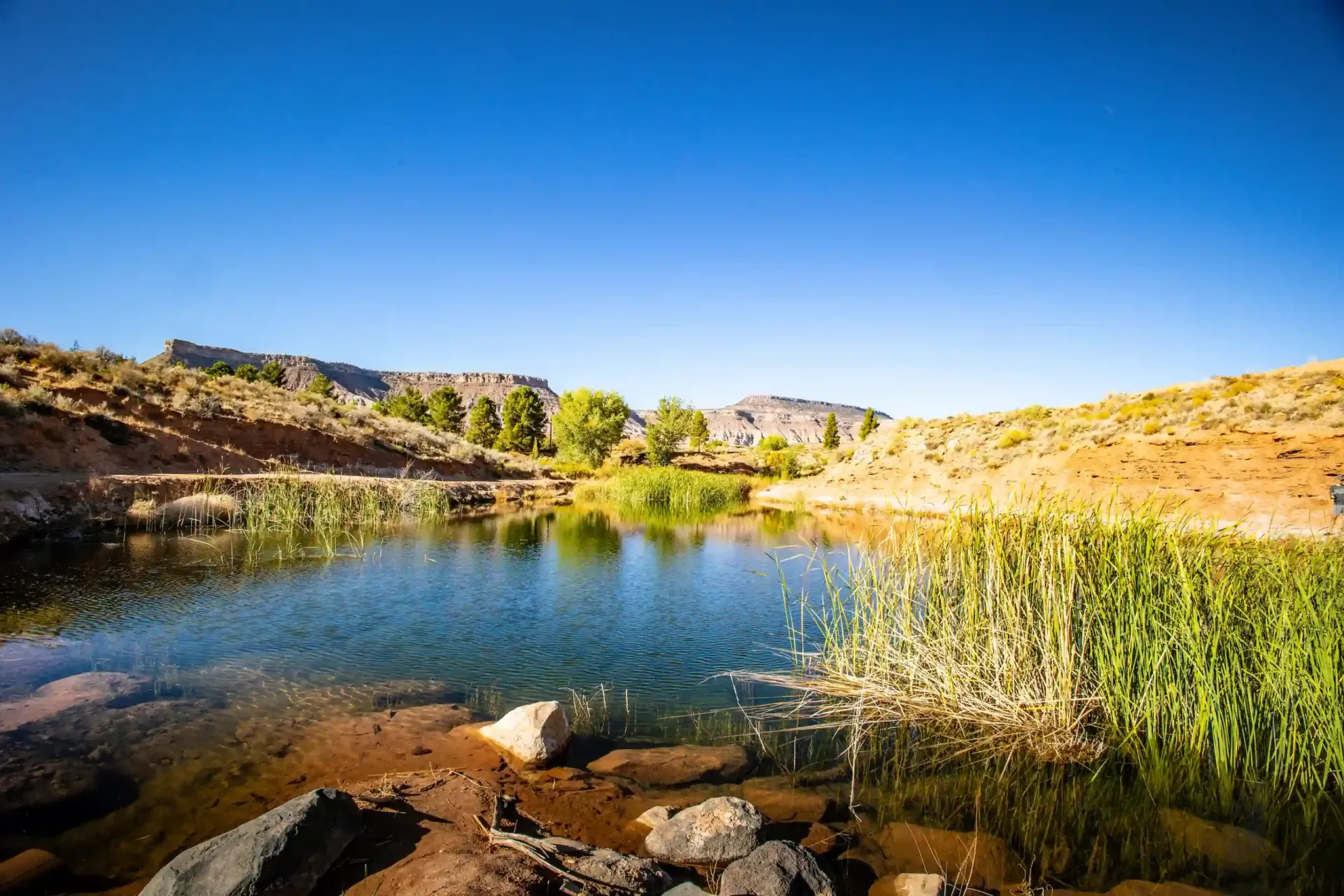 Fishing Pond
