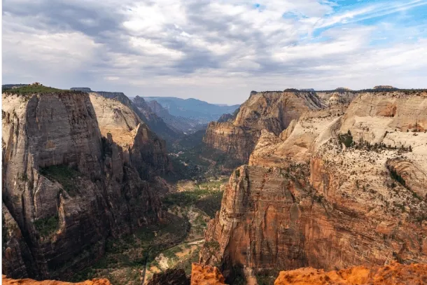 Observation Point